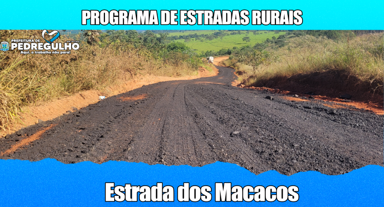 Capa da notícia